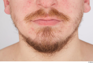 Sigvid bearded chin mouth 0001.jpg
